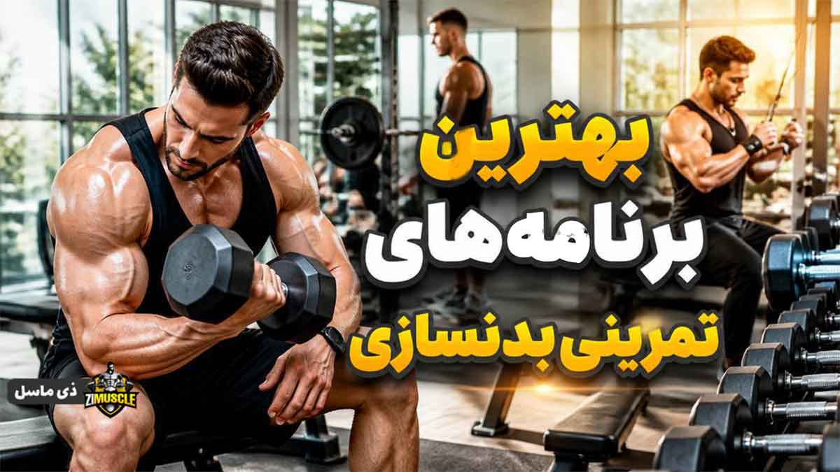 مقایسه برنامههای تمرینی بدنسازی سه روزه، چهار روزه و پنج روزه مقایسه برنامه بدنسازی سه روزه، چهار روزه و پنج روزه در هفته برای افزایش حجم عضلات
